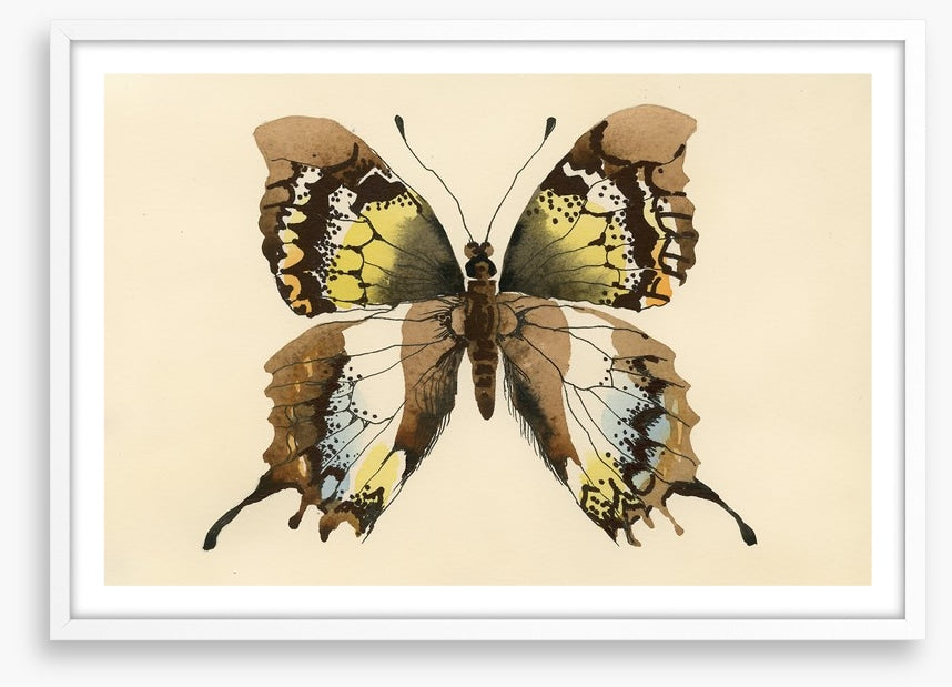 Aquarelle butterfly
