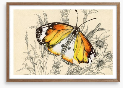 Vintage butterfly