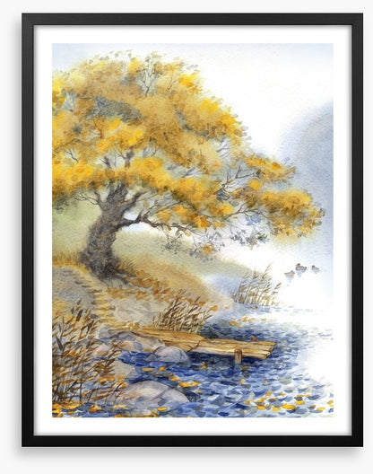 Old tree by the river