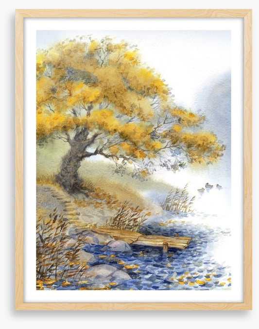Old tree by the river