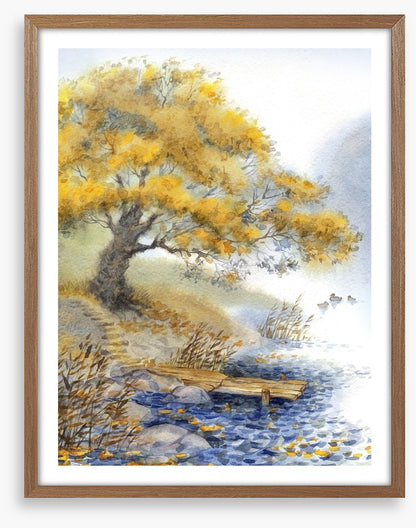 Old tree by the river