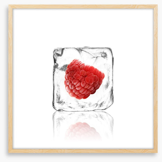 Raspberry in ice