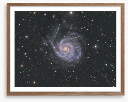 M101 pinwheel galaxy