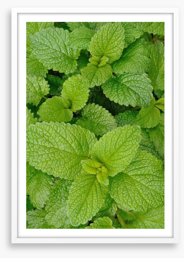 Mint condition