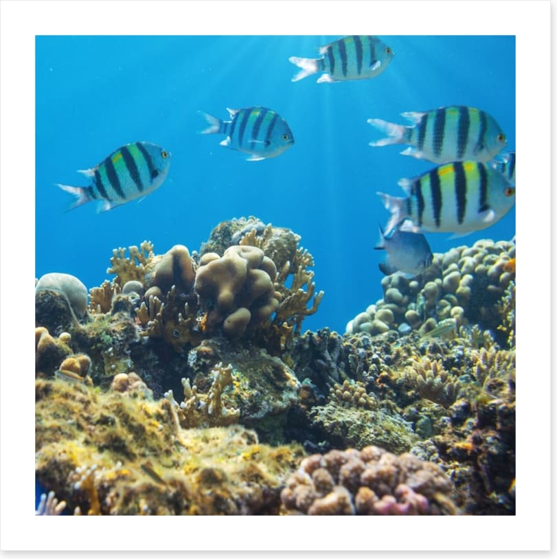 Underwater