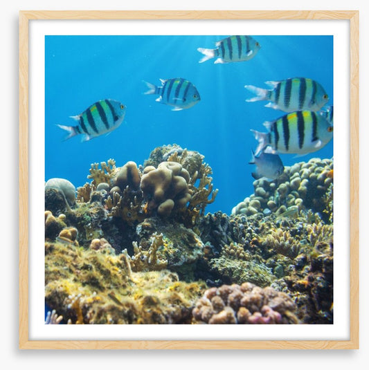 Underwater