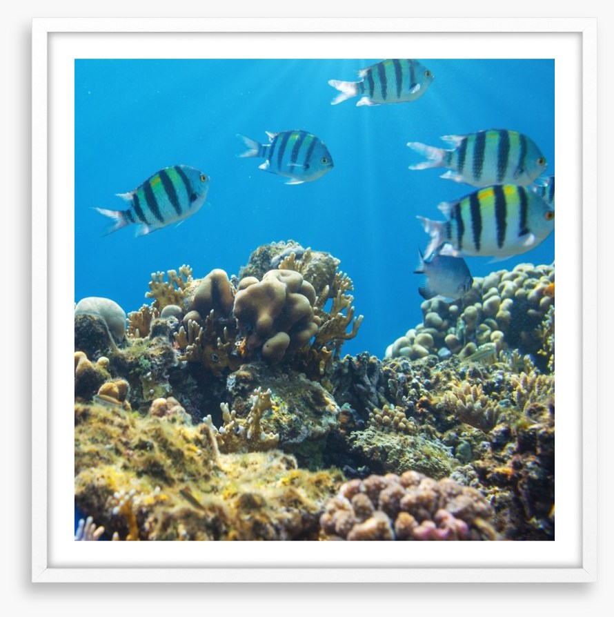 Underwater