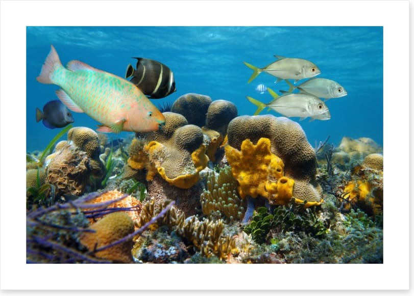 Underwater