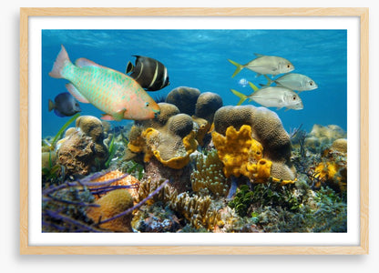 Underwater