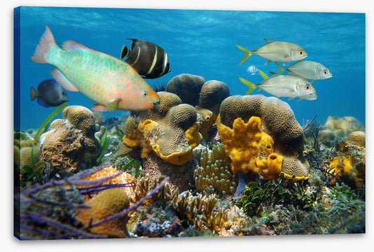 Underwater