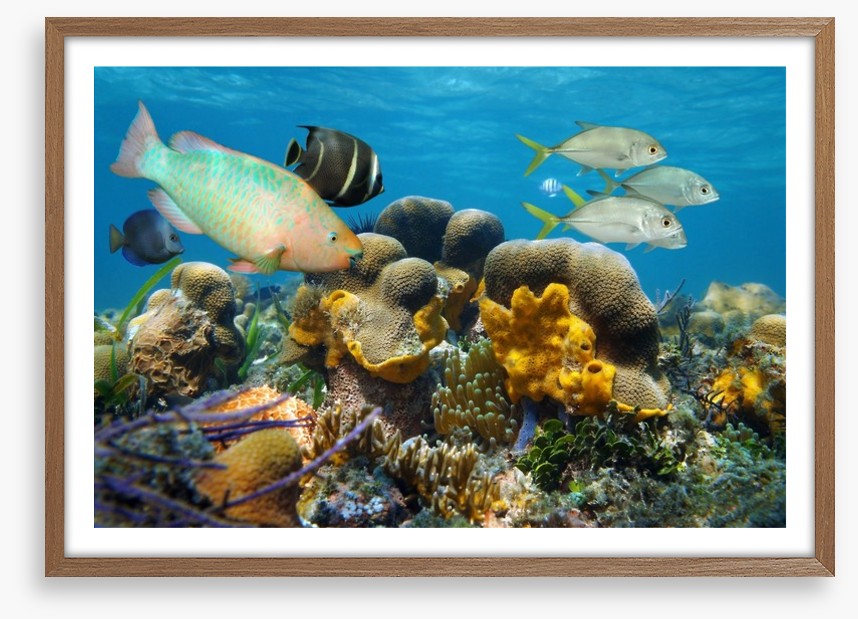 Underwater