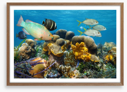 Underwater