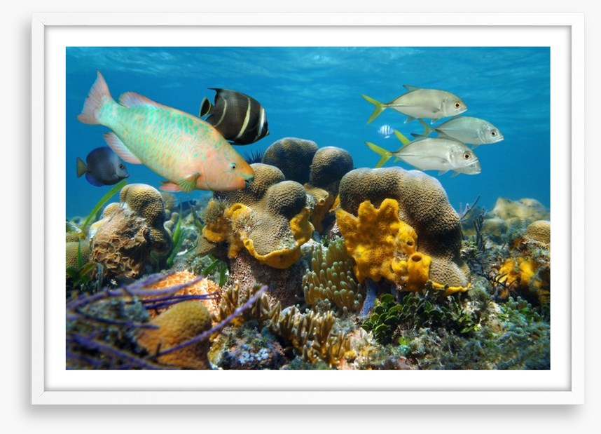 Underwater