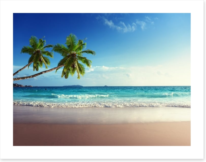 Coconut beach