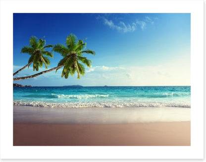 Coconut beach