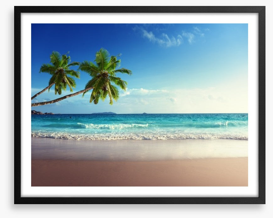 Coconut beach
