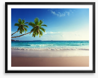 Coconut beach