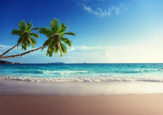 Coconut beach