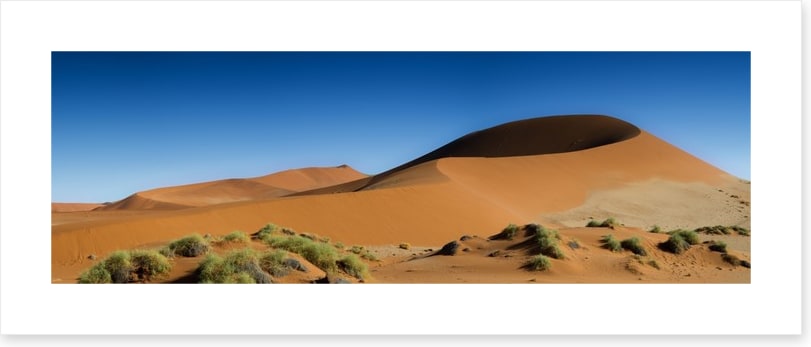 Desert