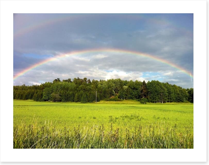 Rainbows