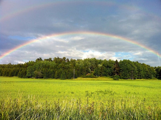 Rainbows
