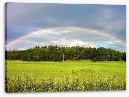 Rainbows