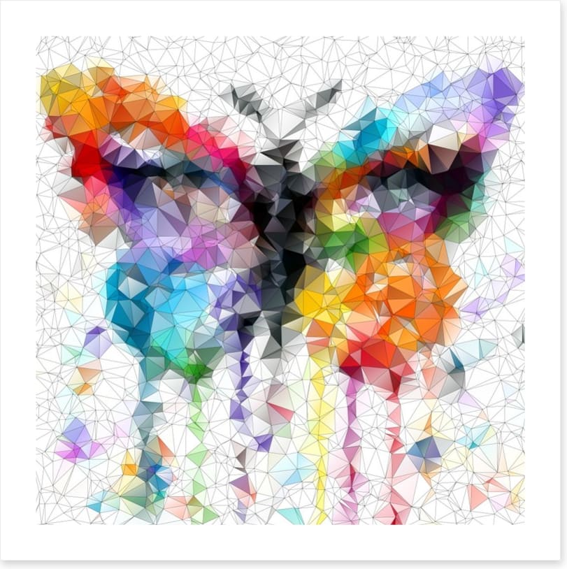 Geometric butterfly