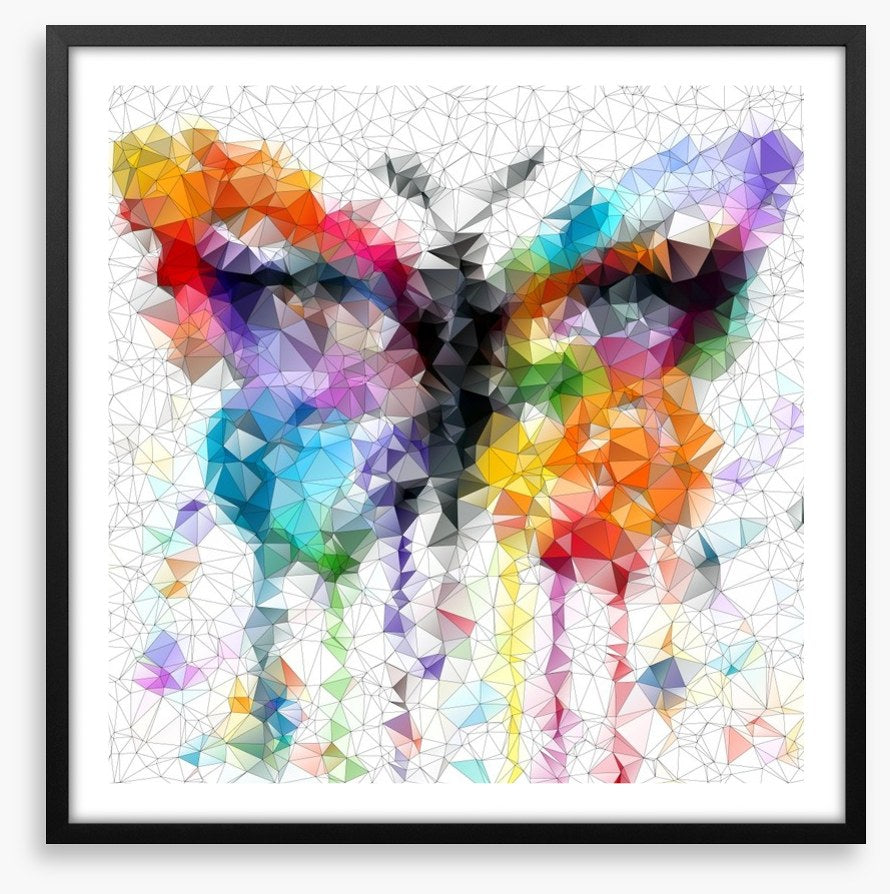 Geometric butterfly