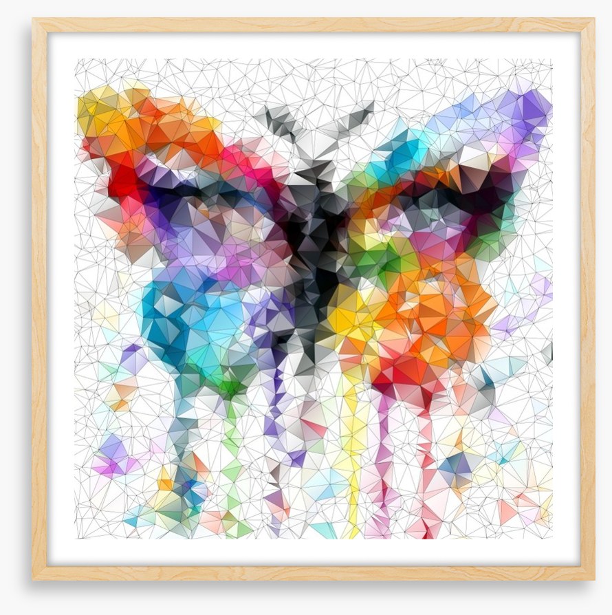 Geometric butterfly