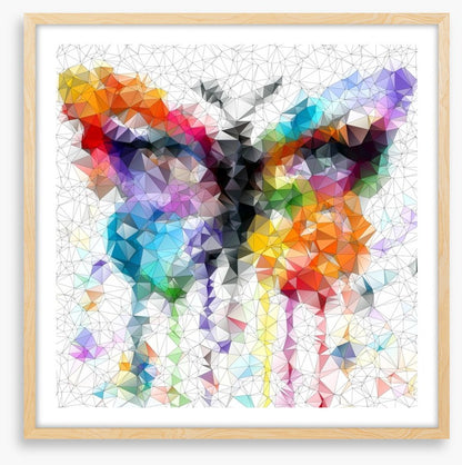 Geometric butterfly