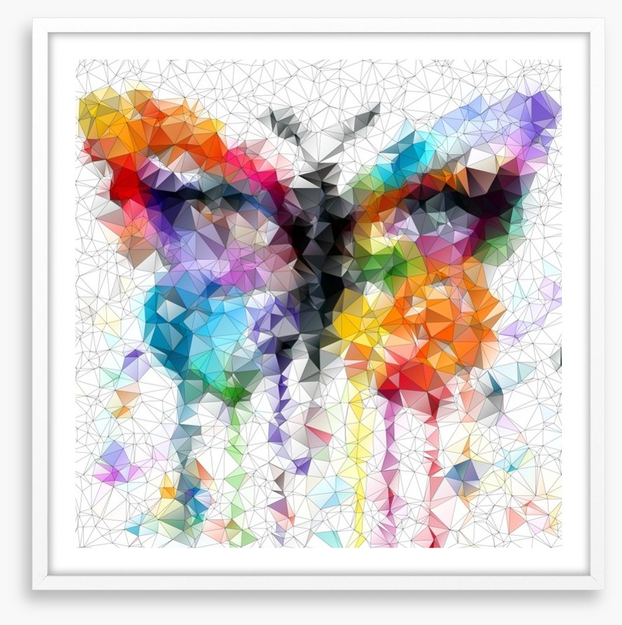 Geometric butterfly