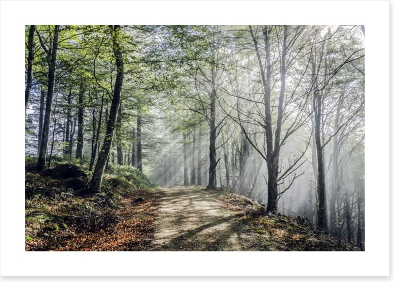 Sunrays on the mystic road