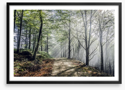Sunrays on the mystic road