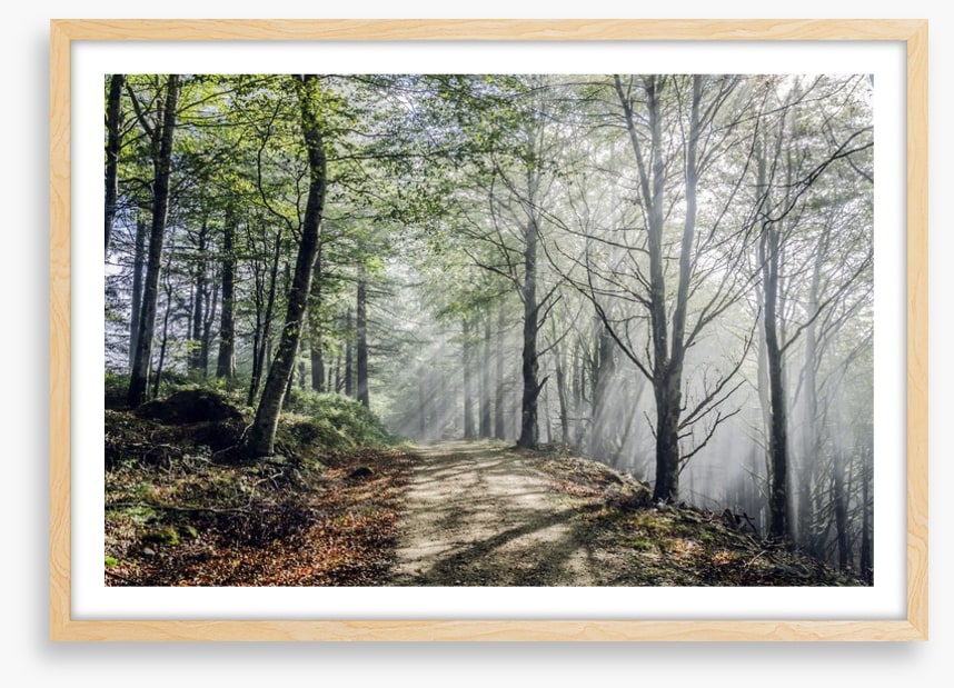 Sunrays on the mystic road