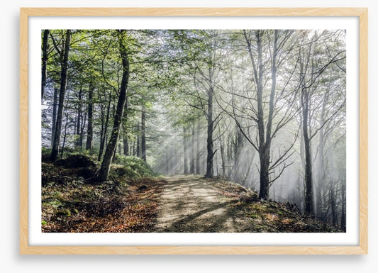 Sunrays on the mystic road