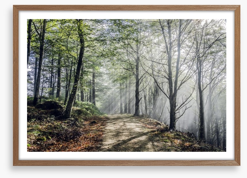 Sunrays on the mystic road