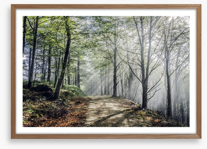 Sunrays on the mystic road