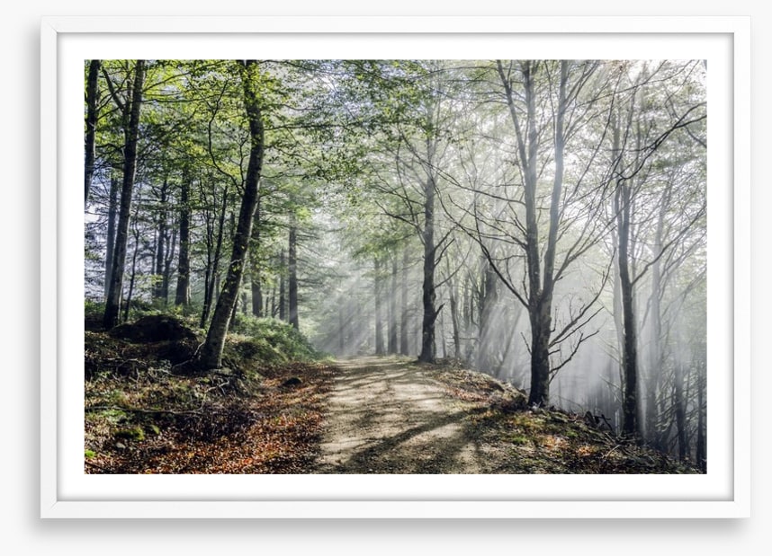 Sunrays on the mystic road