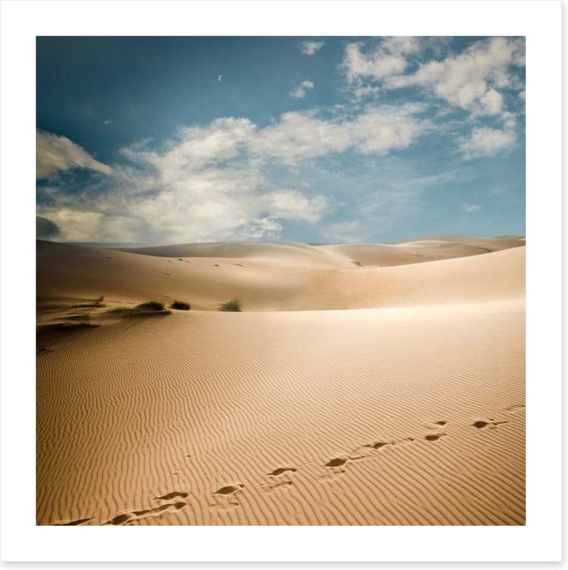 Desert
