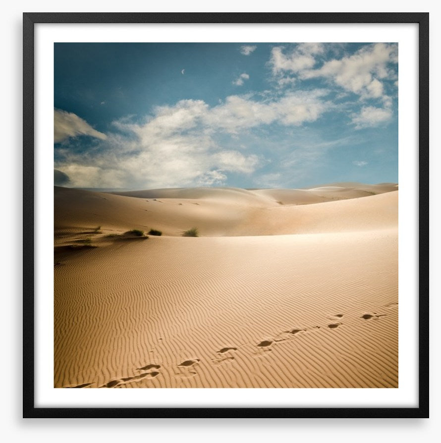 Desert
