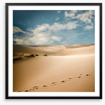 Desert