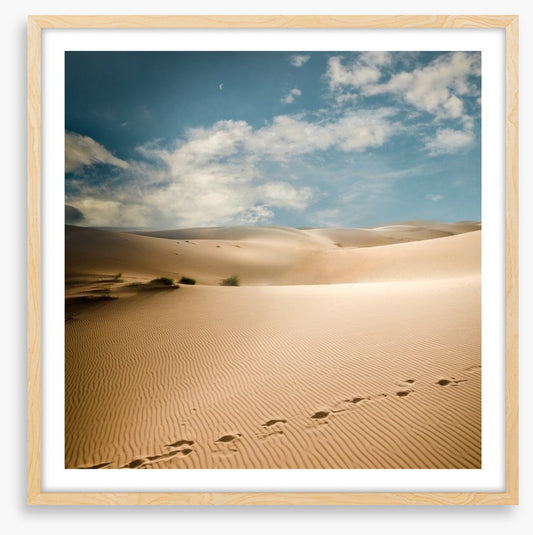 Desert