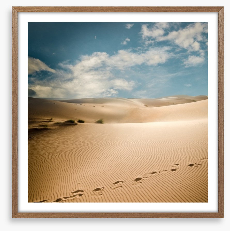 Desert