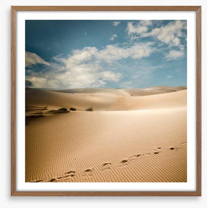 Desert