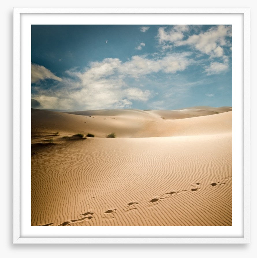 Desert