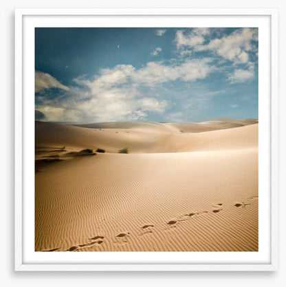 Desert