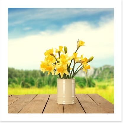 Yellow daffodils