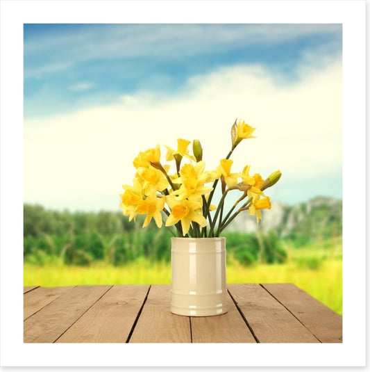 Yellow daffodils