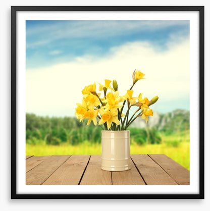 Yellow daffodils