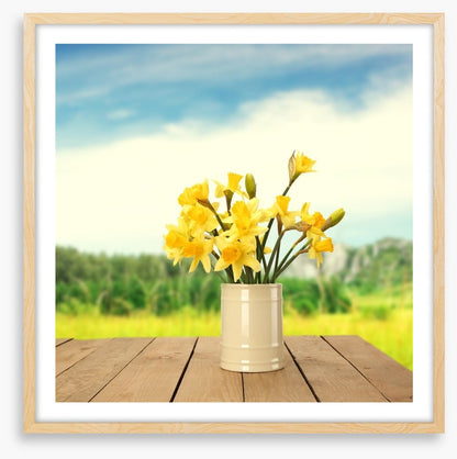 Yellow daffodils